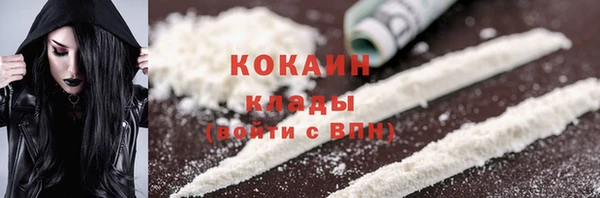 ГАЛЛЮЦИНОГЕННЫЕ ГРИБЫ Абаза