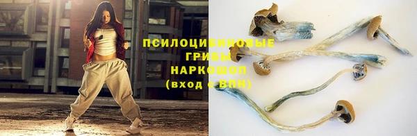 дживик Абинск