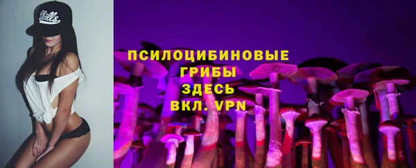 амф Алексин