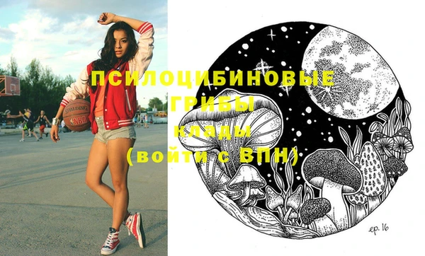 ГАЛЛЮЦИНОГЕННЫЕ ГРИБЫ Абаза