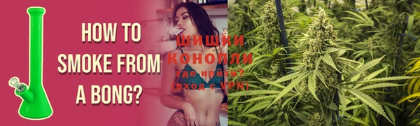 ГАЛЛЮЦИНОГЕННЫЕ ГРИБЫ Абаза